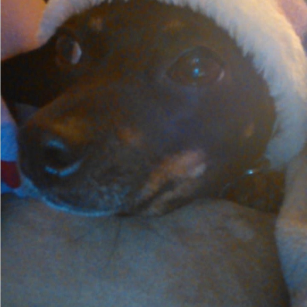 Meet your Posher, Allie - Picture 13 of 16